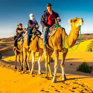 during-journey